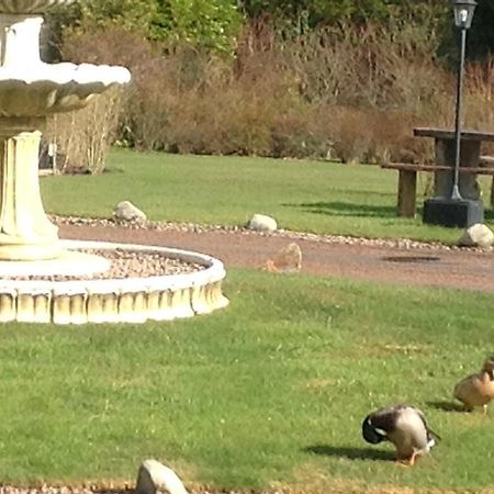 Bed and Breakfast Camfield House Thurso Esterno foto