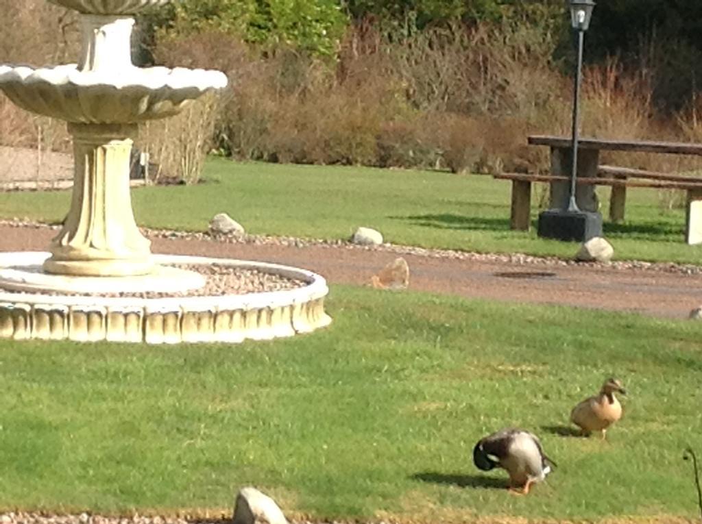 Bed and Breakfast Camfield House Thurso Esterno foto